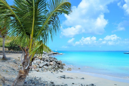 lieux incontournables à visiter à la Martinique