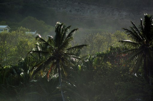 lieux incontournables à visiter à la Martinique